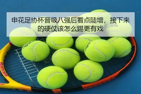 申花足协杯晋级八强后看点陡增，接下来的硬仗该怎么踢更有戏